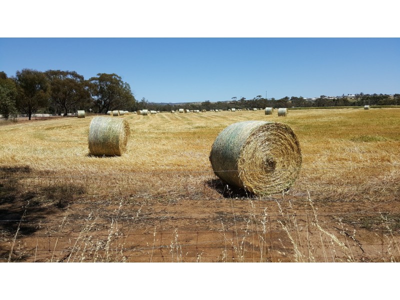 Lot 111 Withers Street, Northam WA 6401