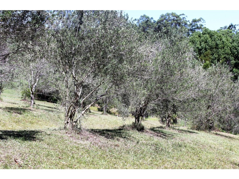 83 Arthys Road, Cooran QLD 4569