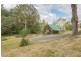 384 Bakers Creek Road, Lucaston TAS 7109