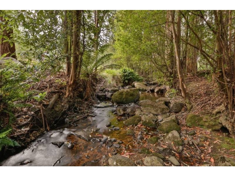 384 Bakers Creek Road, Lucaston TAS 7109