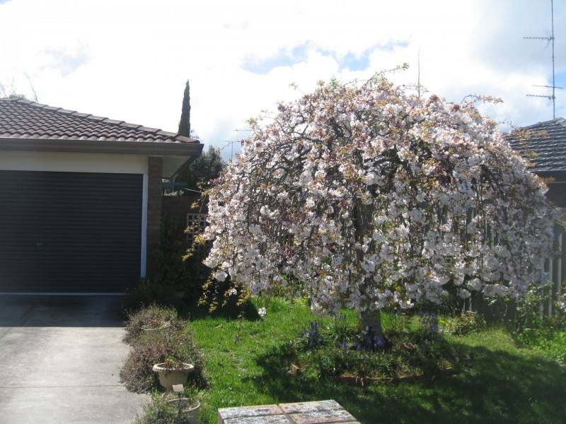 4 Webcona Parade, Wendouree VIC 3355