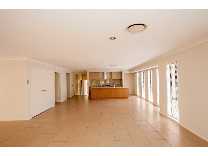 8 Driftwood Place, Springfield Lakes QLD 4300