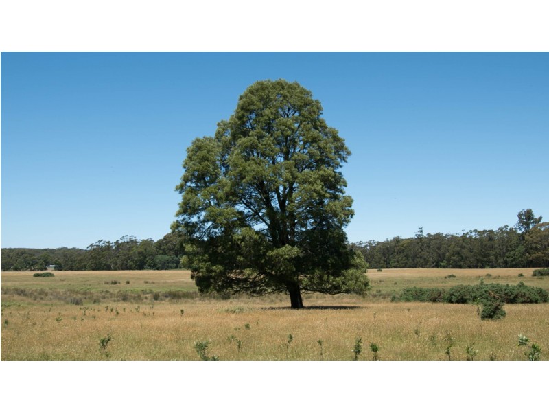 5A Liversidges road, Sailors Falls VIC 3461