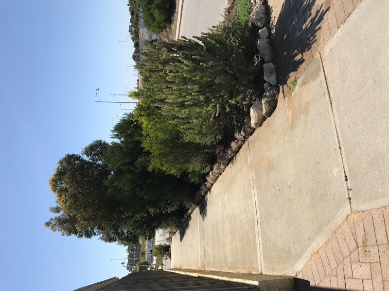 8 Oldsalt Brace, Yanchep WA 6035