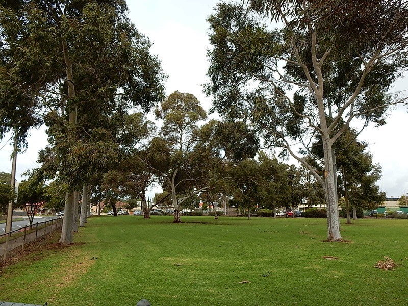 14 Cedar Ave, Woodville South SA 5011