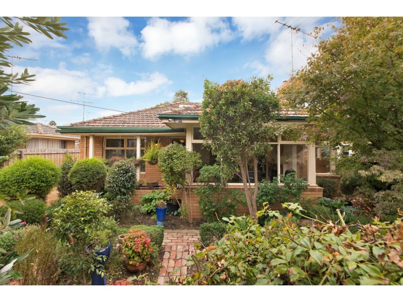 14 Saffron Street, Newtown VIC 3220