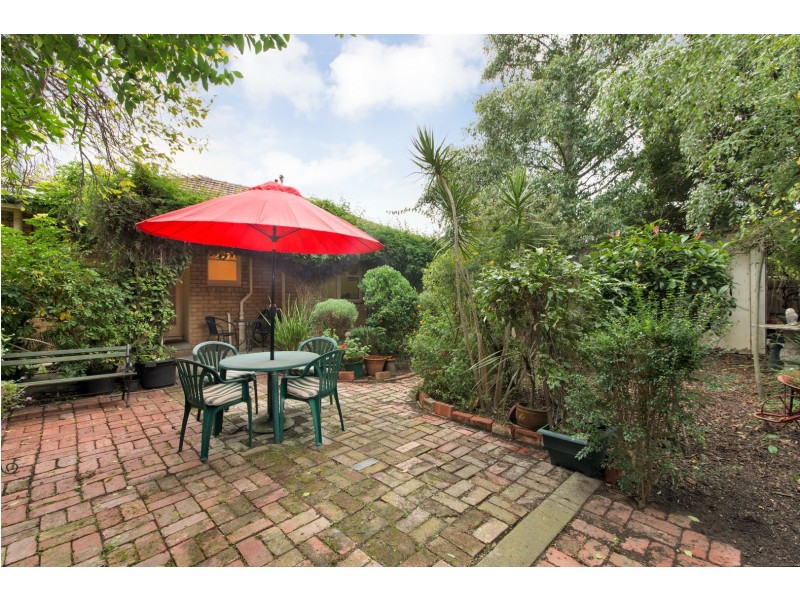 14 Saffron Street, Newtown VIC 3220