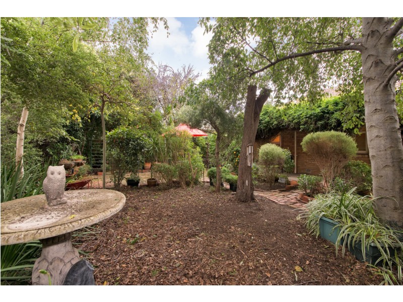 14 Saffron Street, Newtown VIC 3220