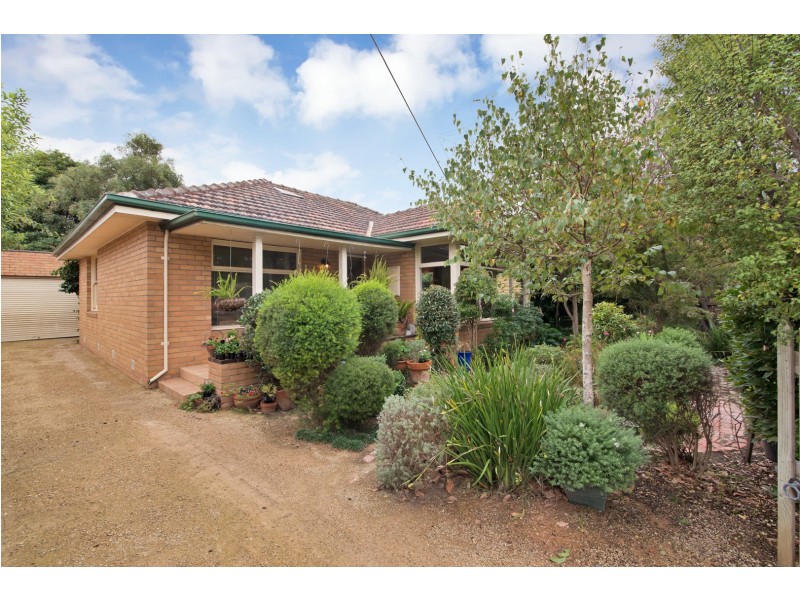 14 Saffron Street, Newtown VIC 3220