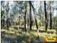 861 Pine Ridge Road, Millmerran QLD 4357