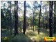 861 Pine Ridge Road, Millmerran QLD 4357