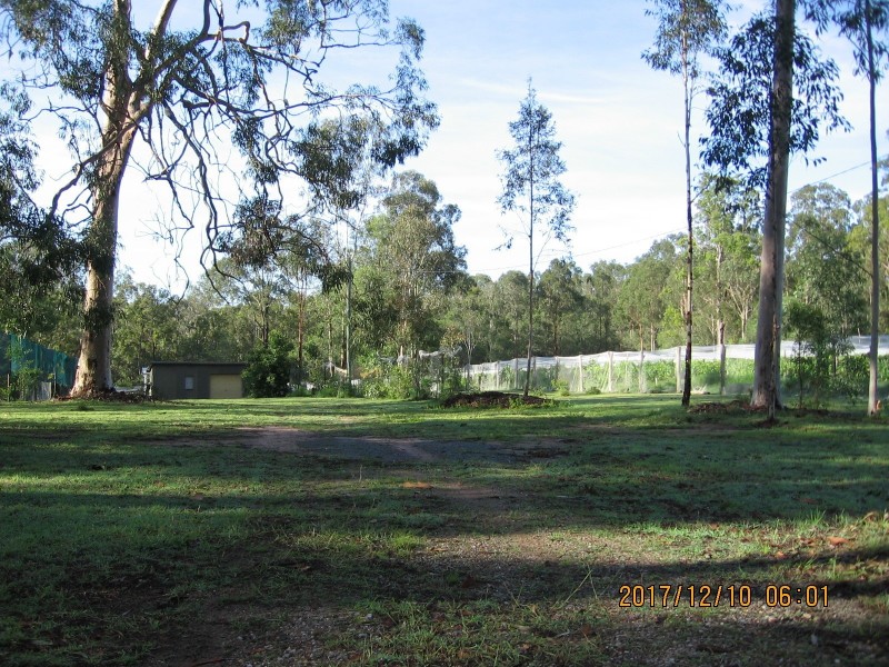 Jimboomba QLD 4280