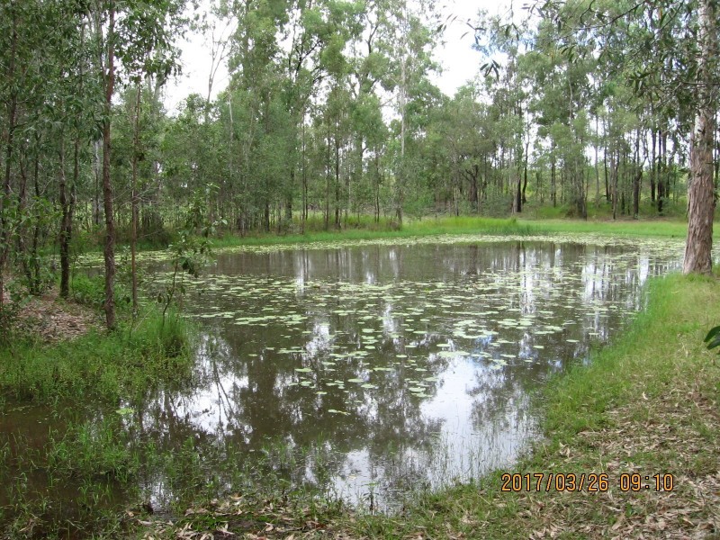 Jimboomba QLD 4280