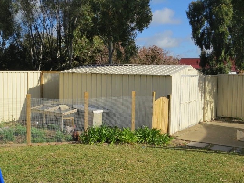 25 Hansard Street, Narrogin WA 6312