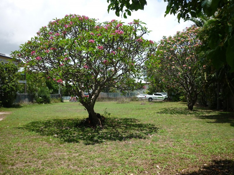 Belgian Gardens QLD 4810