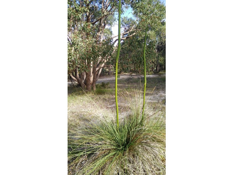 13 Harvey View Drive, Herron WA 6211