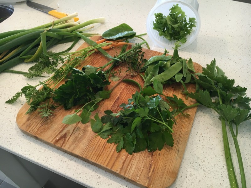 40 Waterlilly Terrace, Murray Bridge SA 5253