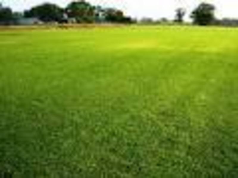 11 Clarence Street, Miram VIC 3415