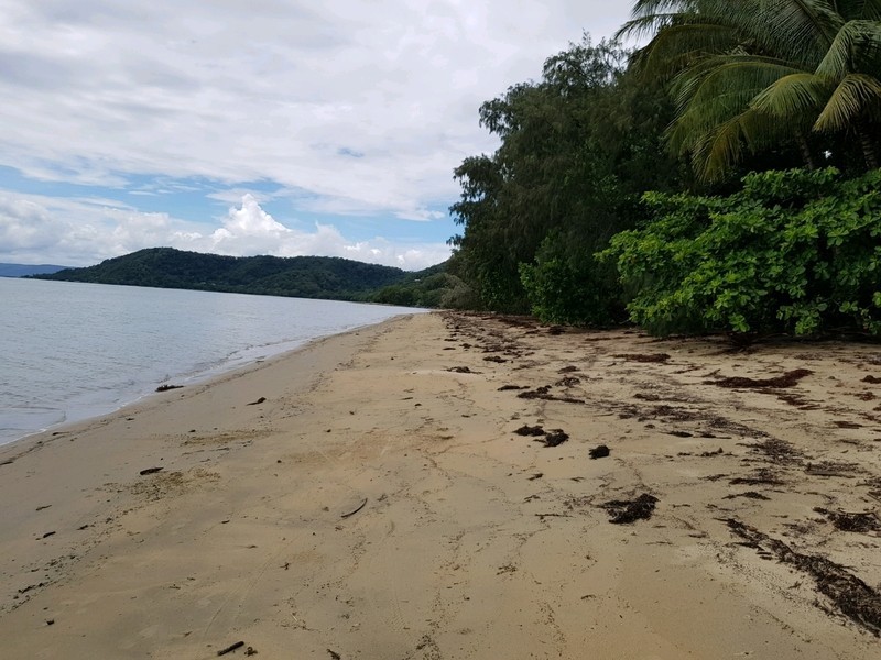 41 Marlin Drive, Wonga Beach QLD 4873