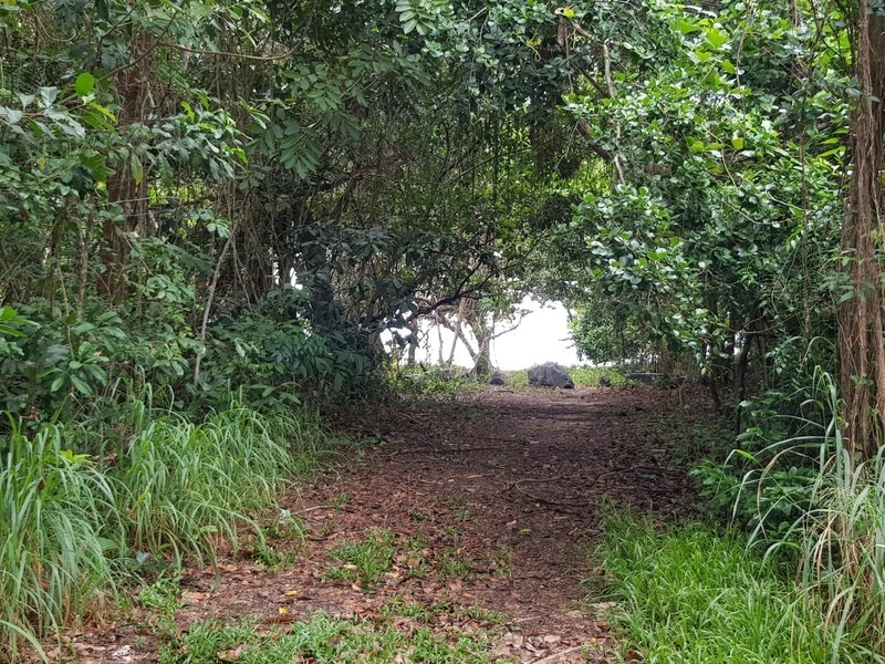 41 Marlin Drive, Wonga Beach QLD 4873