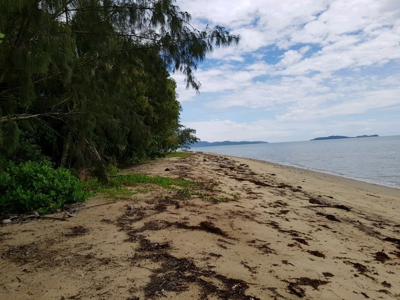 41 Marlin Drive, Wonga Beach QLD 4873