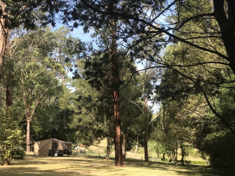 25 Old Princess Highway, Cabbage Tree Creek VIC 3889