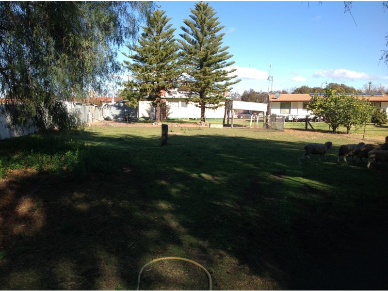 27 Powell Street, Jerilderie NSW 2716