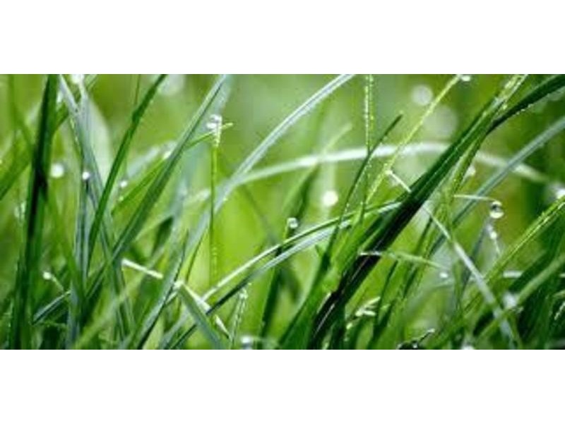 Hallidays Point NSW 2430