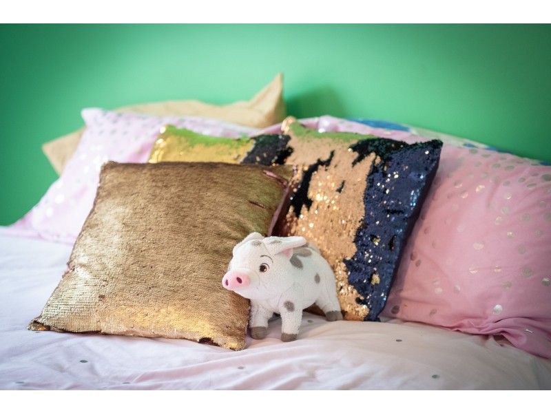 1 Morgan Close, Manly West QLD 4179