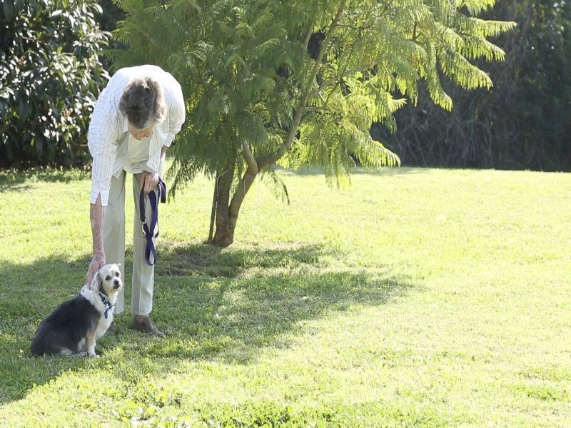 12/38 Hickey Street, Cessnock NSW 2325