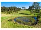 290 Mulhollands Road, Thirlmere NSW 2572
