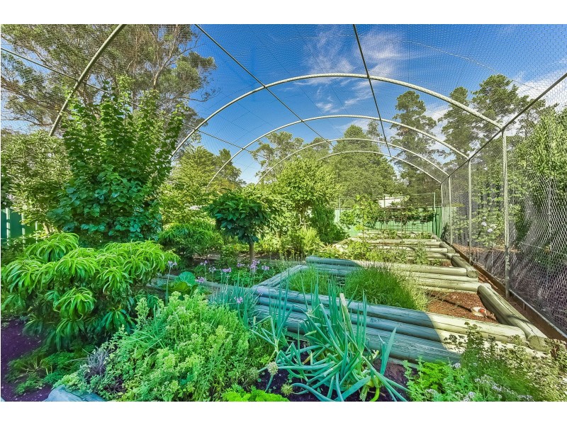 Lot 5 -6 Billabong Lane, Buxton NSW 2571