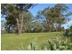 380 Pheasants Nest Road, Pheasants Nest NSW 2574