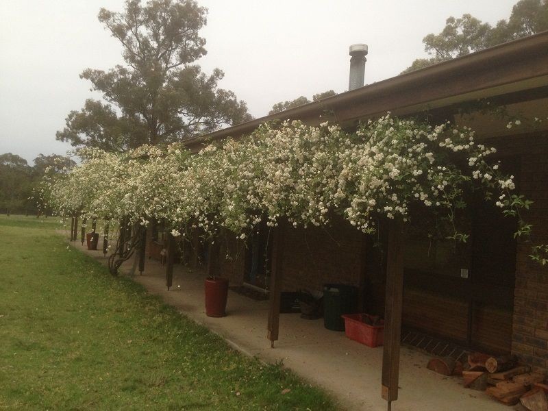 95 Whipbird Road, Pheasants Nest NSW 2574