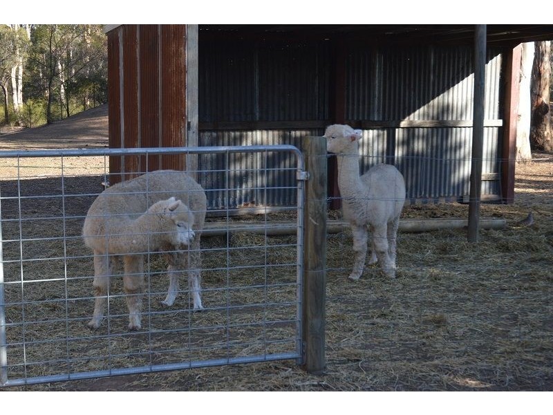 95 Whipbird Road, Pheasants Nest NSW 2574