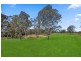 315 Arina Road, Bargo NSW 2574