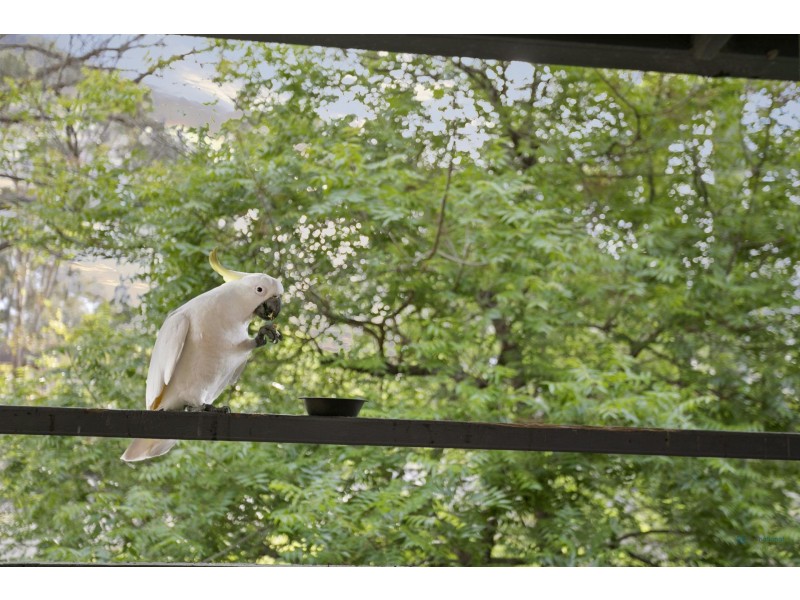 28 Wollondilly Avenue, Wilton NSW 2571