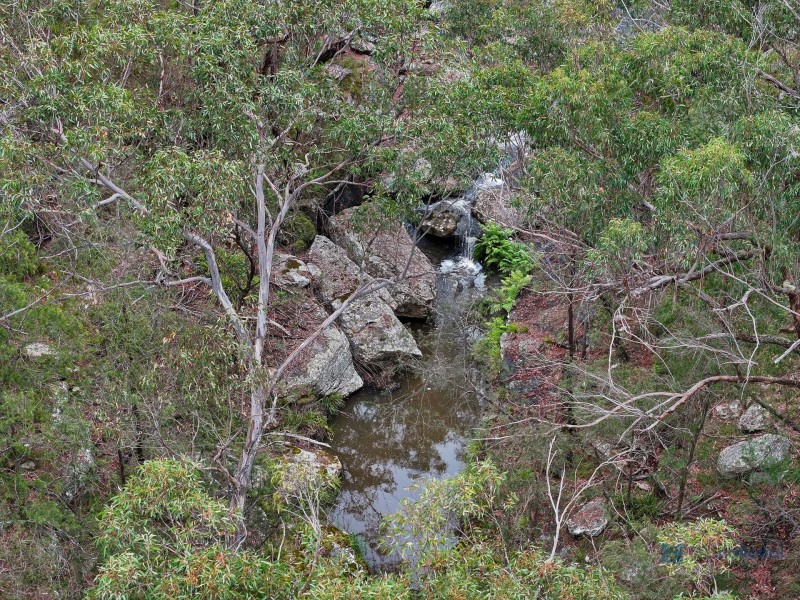 110 Mockingbird Road, Pheasants Nest NSW 2574