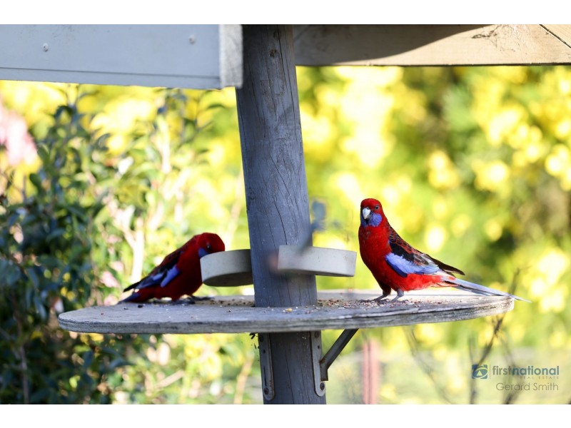 43-55 Norwood Road, Buxton NSW 2571