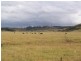 20 Abbotsford Road, Picton NSW 2571