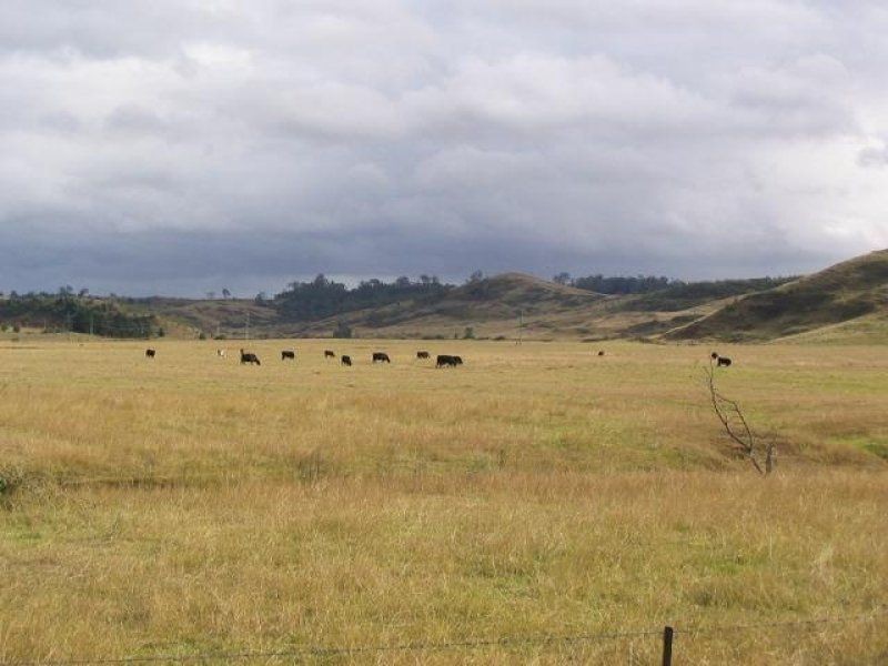 20 Abbotsford Road, Picton NSW 2571