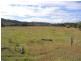 20 Abbotsford Road, Picton NSW 2571