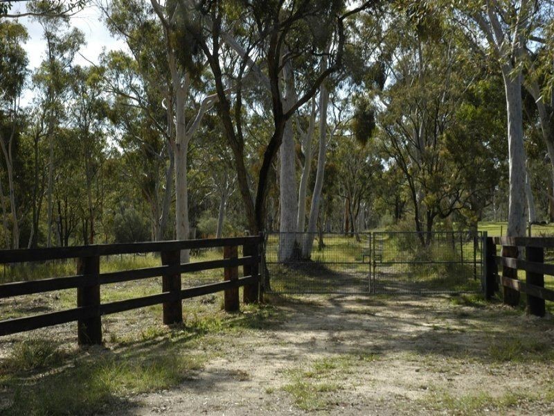 495 Pheasants Nest Road, Pheasants Nest NSW 2574