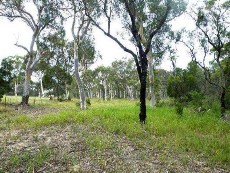 495 Pheasants Nest Road, Pheasants Nest NSW 2574