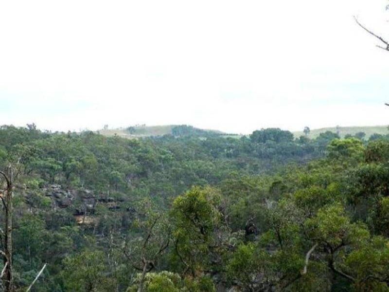 495 Pheasants Nest Road, Pheasants Nest NSW 2574