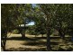 85 Dwyers Road, Bargo NSW 2574