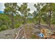 159 Lyrebird Road, Pheasants Nest NSW 2574