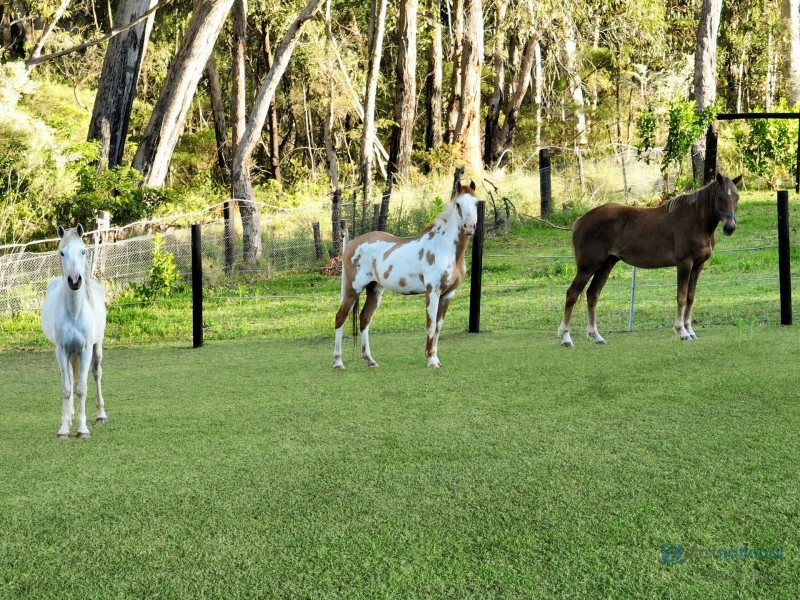 128 Bonds Road, Thirlmere NSW 2572