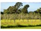 270 Arina Road, Bargo NSW 2574