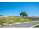 Lot 319, 31 Porter Circuit, Milton NSW 2538